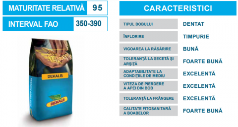Seminte Porumb DKC 4541 80.000 boabe/sac