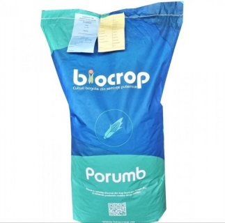 Seminte Porumb PERACINO FAO 350 80.000 boabe/sac