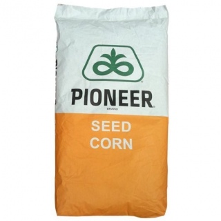 Seminte Porumb PIONEER P0217 FAO 420 80.000 boabe/sac