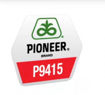 Seminte Porumb PIONEER P9415 80.000 boabe/sac