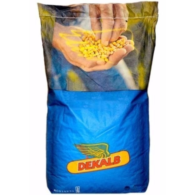 Semințe porumb DKC 4933